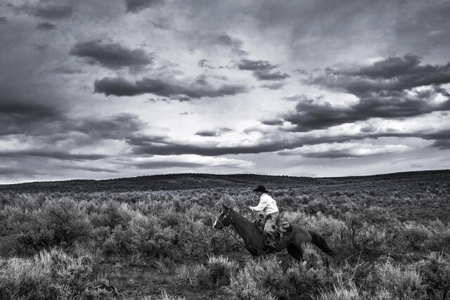 Cowboys, west, horses, open range, western, , Pictures, Photos, Photography, Pictures of, Prints, Fine art, Decor, wall art...