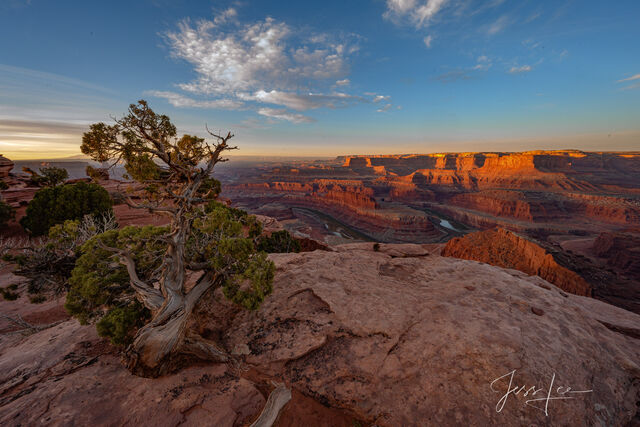 Morning at Dead Horse Point