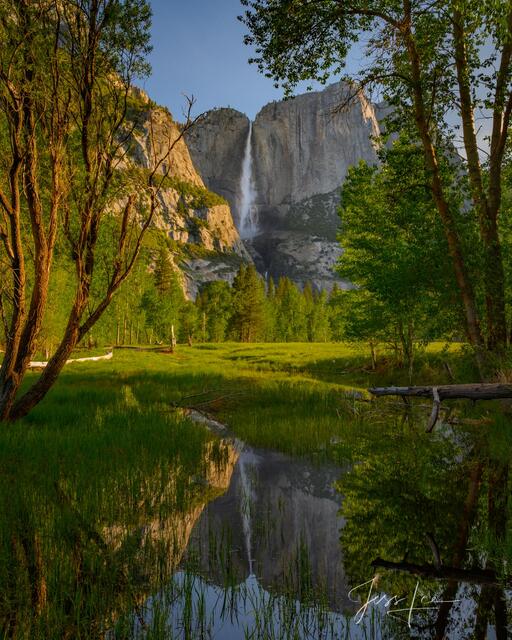 Yosemite Falls Reflecting