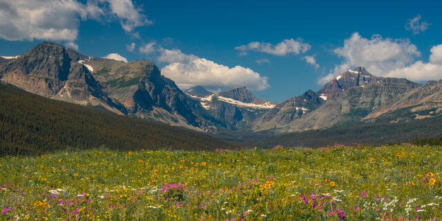 Glacier Park Photos, Beautiful Photography, Meadow Photos, Nature Photography
