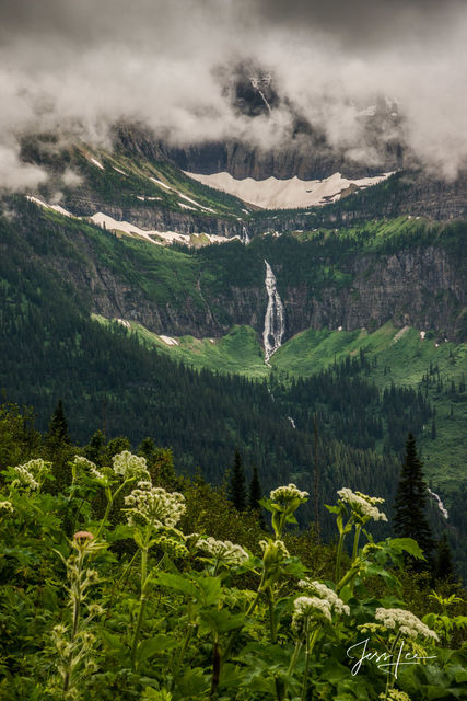 Bear Grass Falls