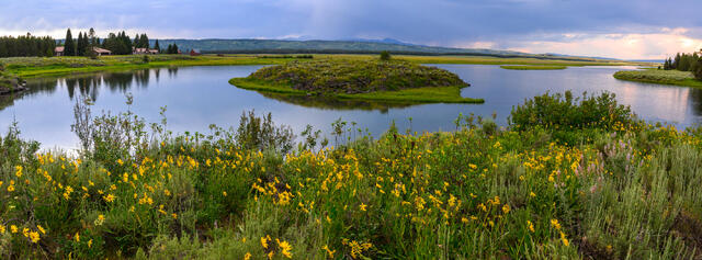 Harriman Spring -Pano