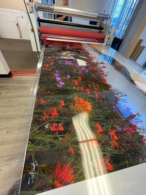 Big Photos - Big Impact with Large Format Printing