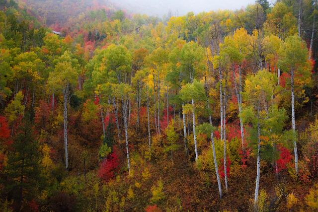 Nearly Fall