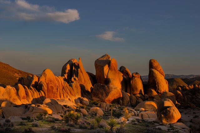 Beautiful Photography, Fine Art Landscape Print Of Joshua Tree National Park, California