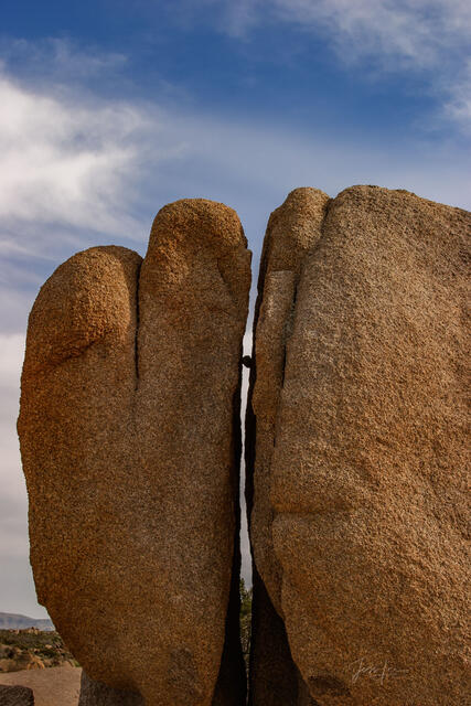 Beautiful Photography, Fine Art Landscape Print Of Joshua Tree National Park, California