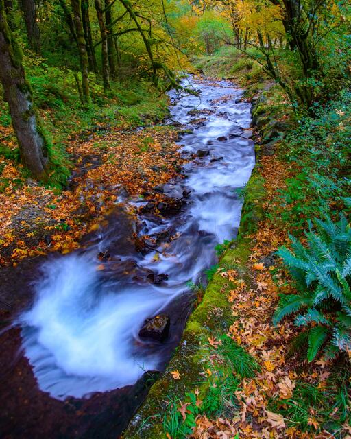  MULTNOMAH Creek