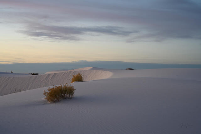 Luxury wall art of a New Mexico desert dawn. A serene, wide-angle landscape photograph showcasing the gentle curves and ripples of white sand dunes.
