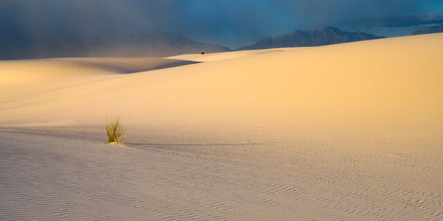 Panoramic fine art photography of white gypsum sand dune ridges and rhythmic S-curves at White Sands National Park, New Mexico, featuring a wide-angle desert 
