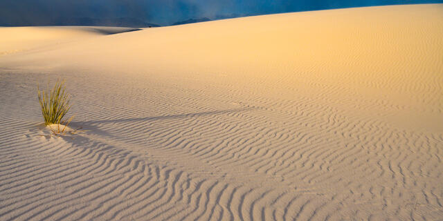 Luxury photography wall art of the New Mexico desert. A minimalist landscape photograph showing the clean lines and textures of pristine white sand dunes 