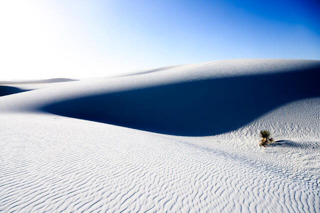 photography print of expansive white sand dunes stretching toward the San Andres Mountains at White Sands National Park, New Mexico, featuring dramatic shadows 
