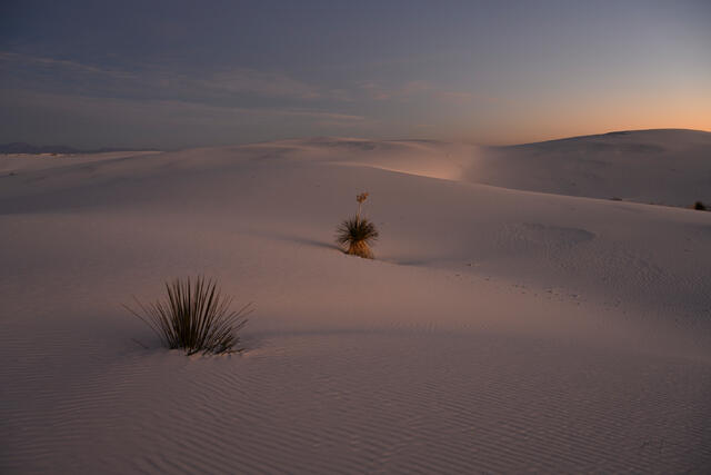 Fine art landscape photography of soft natural light and delicate shadows on wind-rippled gypsum sand dunes at White Sands National Park, New Mexico, by Jess Le