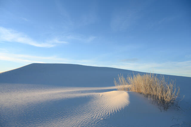 Luxury wall art of the New Mexico white sands. A detailed landscape photograph showcasing the pristine, wind-sculpted ripples and rolling hills.