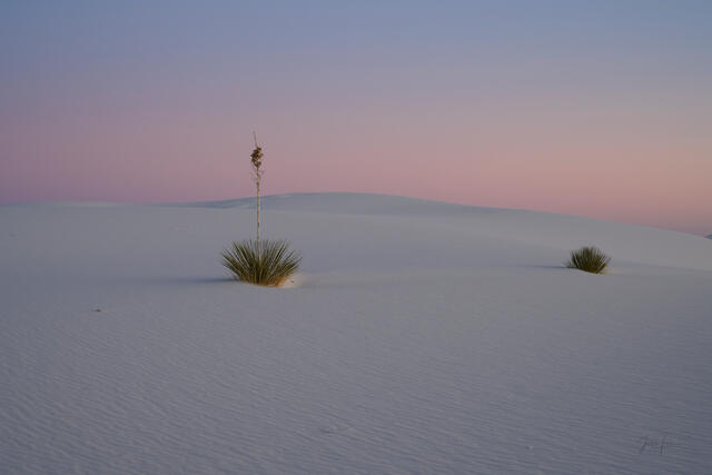 Luxury wall art of a colorful New Mexico desert sunset. A wide-angle photograph showing the rolling white dunes illuminated by the glowing hues of twilight.
