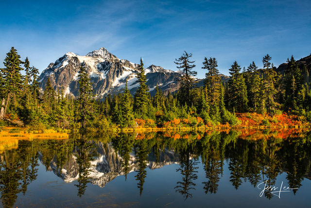 Reflecting on Autumn 