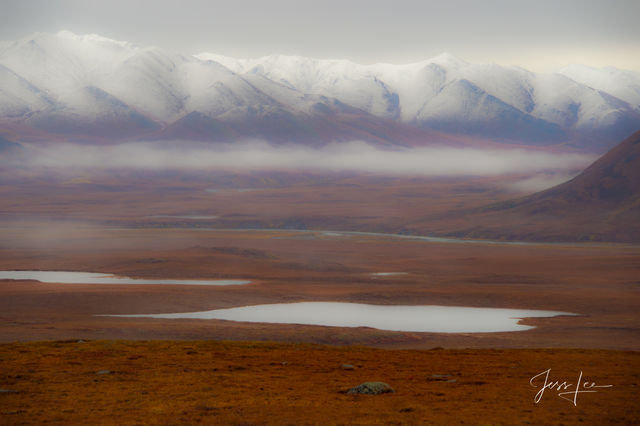 Fog covers the wetlands in Alaska's Arctic tundra. 