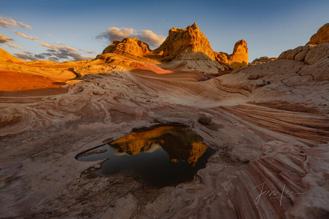 Reflecting on rain in the desert.