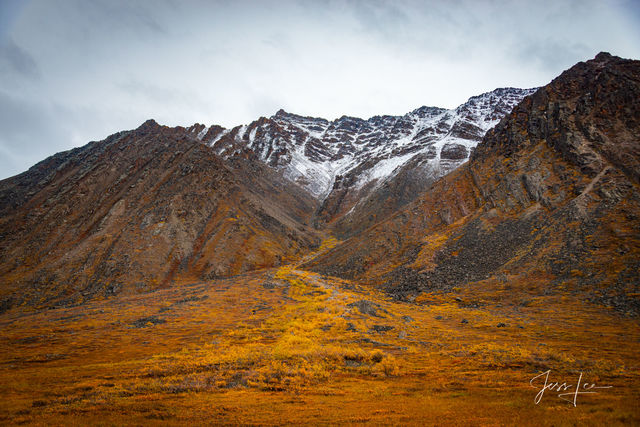 Autumn colors engulfing the side of a mountain in Alaska 