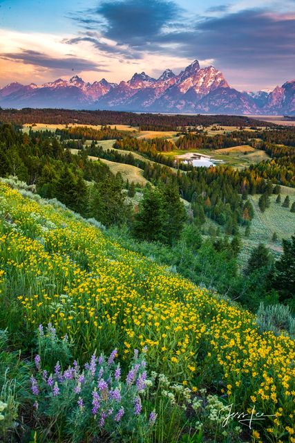 Grand Teton mountains and spring