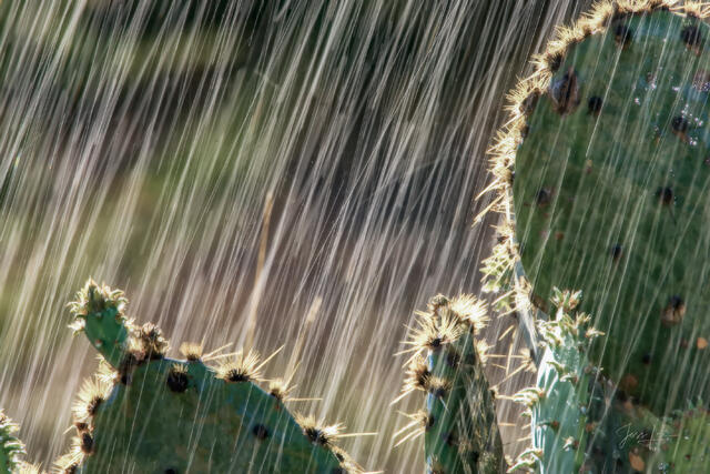 Texas Photo Print