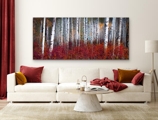 Favorite Landscape and Nature Photography Art Prints for Home and Office