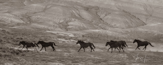 Run Across the Plains 