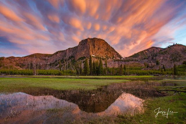 Sun burst on the Madison River. A Yellowstone National Park Photography Print.