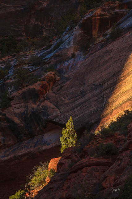 Vertical landscape photo print of dark shadowed canyon walls with a sliver of golden sunset light on one edge.