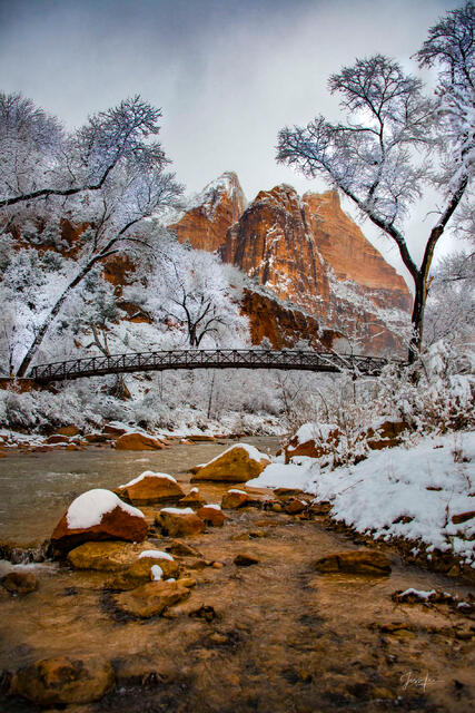 The Winter Glow 
