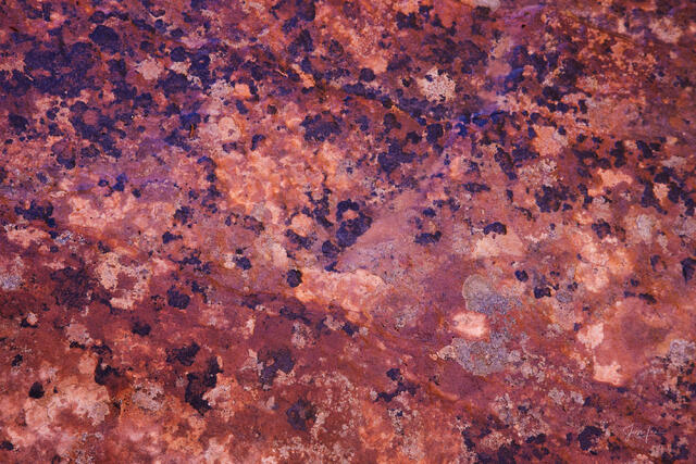 Abstract macro photo print of textured red and purple sandstone with dark mineral deposits and complex geological patterns.
