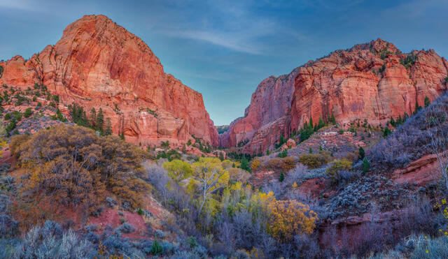  Zion Landscape photo print of two massive red sandstone cliffs framing a valley of yellow autumn trees under a pink and blue twilight sky.