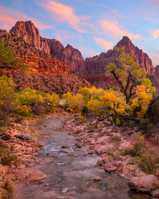 Landscape photo print of the Virgin River flowing toward glowing red peaks and golden autumn trees under a pink sky.