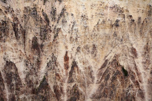 Zion National Park Absrtract from the Canyon Walls