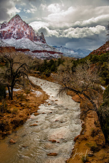  The glowing Virgin in Red Rocks Country of Zion National Park