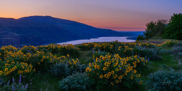 Rowena Crest Panorama 