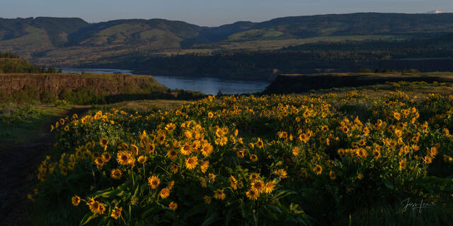   Rowena Overlook with flowers