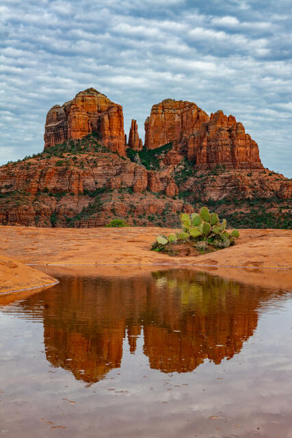 Sedona Photograph of Cathedral Rock reflectin in a pond