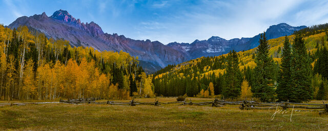 The Aspens of Colorado Photography Art Gallery 