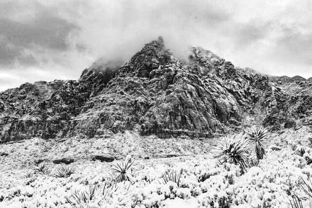 Nevada Photography Print