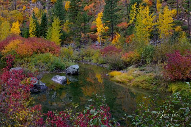 River Pond