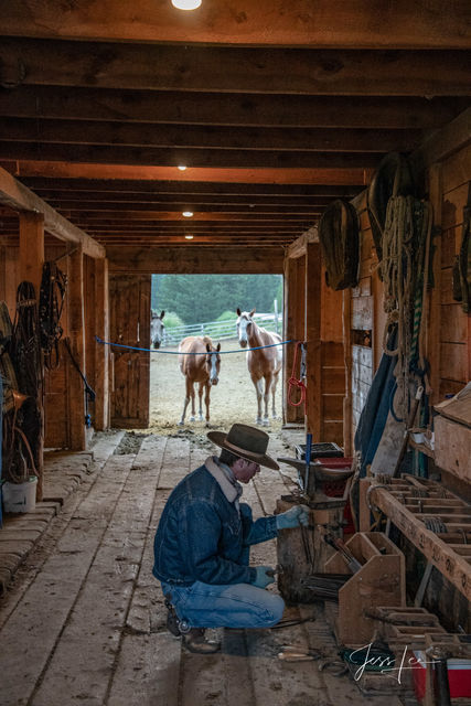 Shoeing