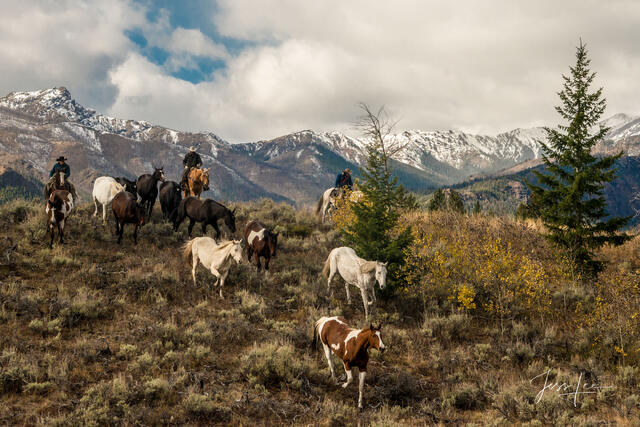 Cowboys and Wild Horses Photography Workshop Sept 15-21