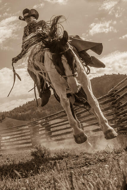 Cowboy rinding a bucking horse.