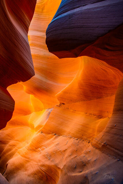 Blue Ember, Antelope Canyon - warm gold sandstone curves beneath a cool violet-blue shadowed overhang