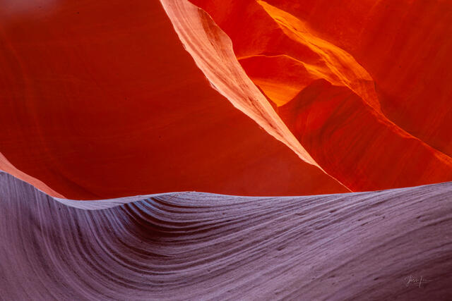 Ember and Ash, Antelope Canyon - blazing red sandstone wall meeting cool lavender-gray wave-like dune