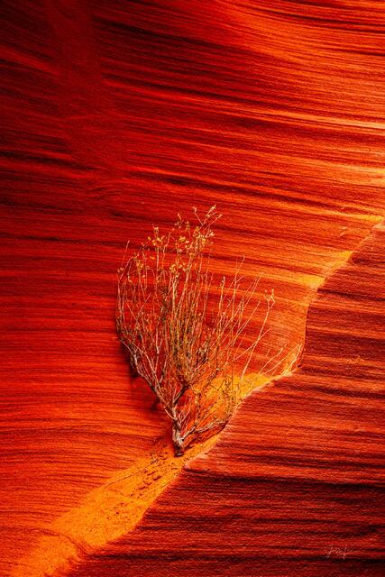 slot canyon, Antelope Canyon, light beams,