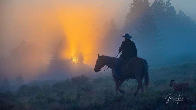 Wyoming Cowboy and dog riding into the sunrise. cowboy photo