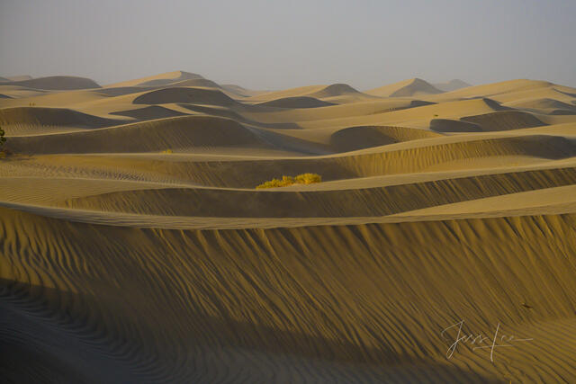 Desert Valley Pictures