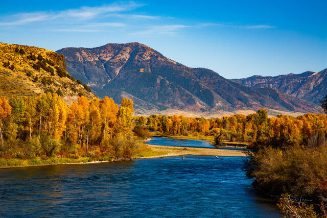 Snake River Autumn Flow