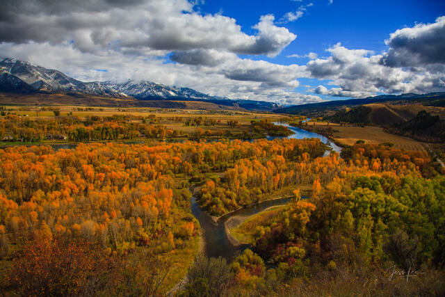 Snake River  Autumn Channels